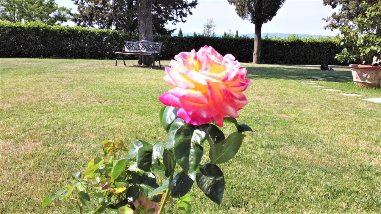 Tenuta Barbadoro Agriturismo Apartment モンテスペルトリ エクステリア 写真